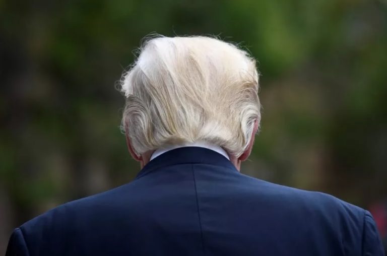 PHOTO Donald Trump's Hair Is Turning White From Behind