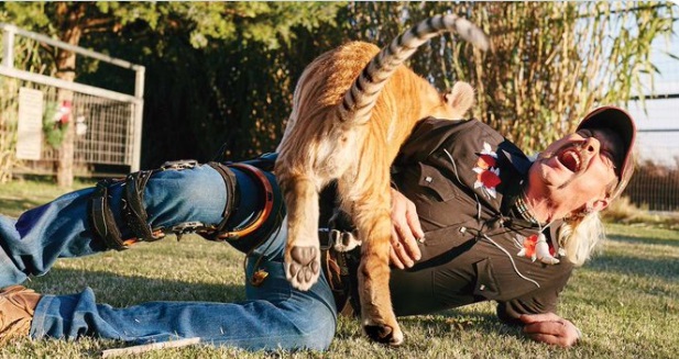 PHOTO Joe Exotic Cuddling On Ground With Tiger In Knee Brace