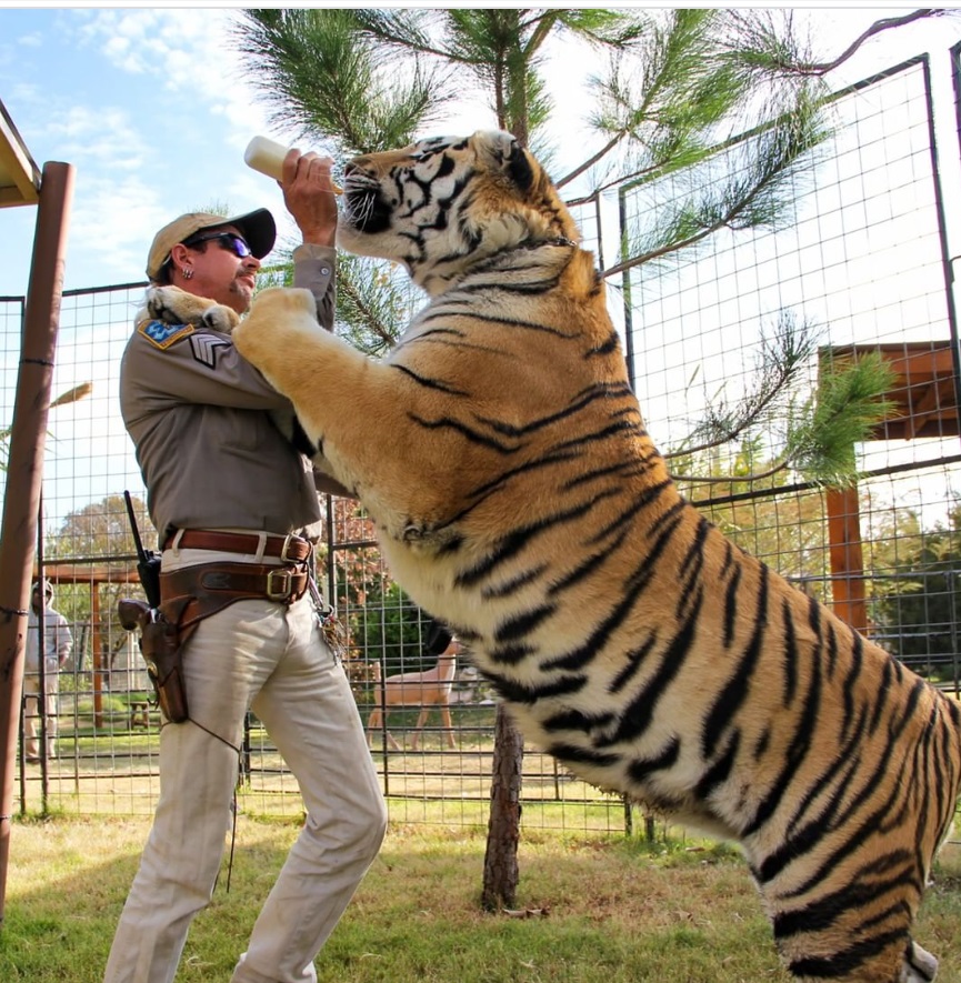 PHOTO Joe Exotic Feeding A Tiger With Milk Out Of A Bottle