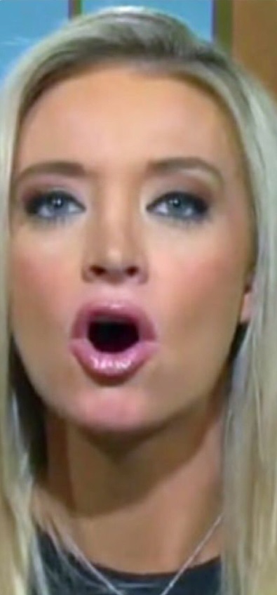 PHOTO Kayleigh McEnany Mouth Wide Open