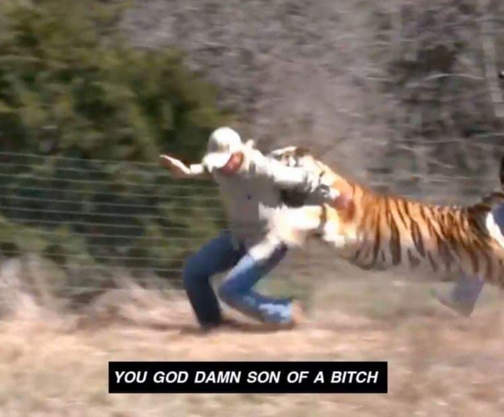 PHOTO Tiger Tackling Joe Exotic In The Field