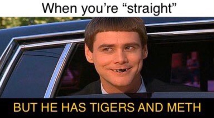 PHOTO When You're Straight But He Has Tigers And Meth Tiger King Meme