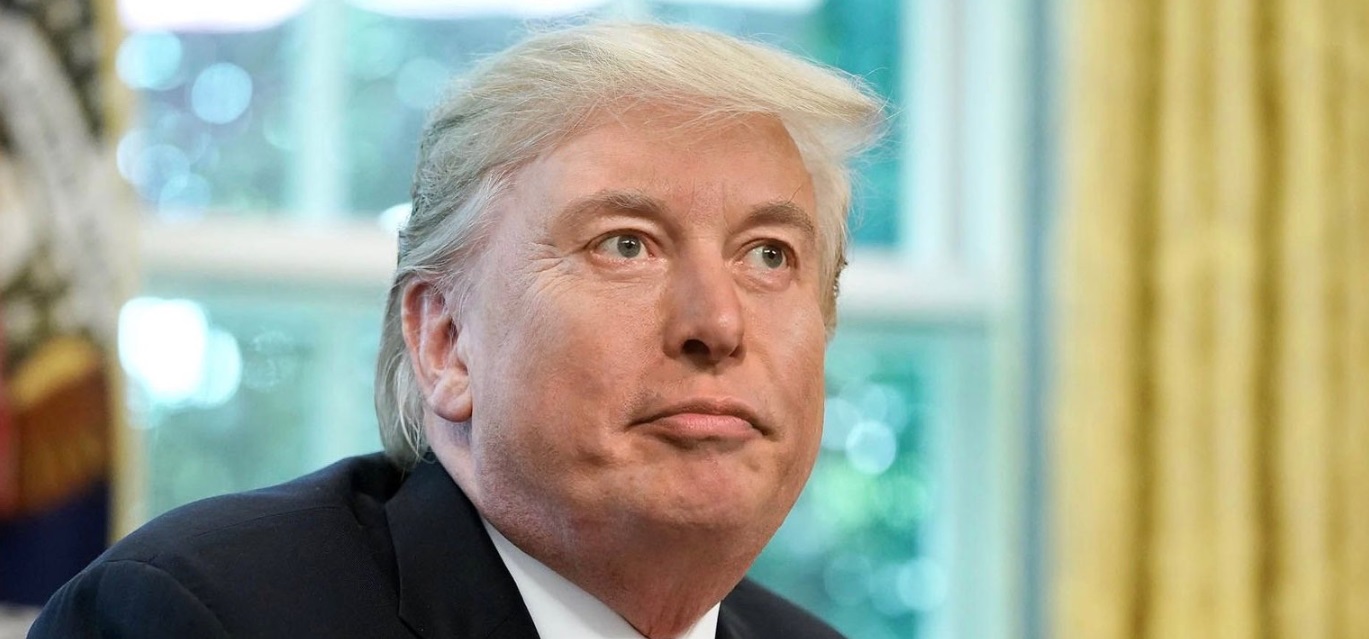 PHOTO Donald Trump With Elon Musk's Face