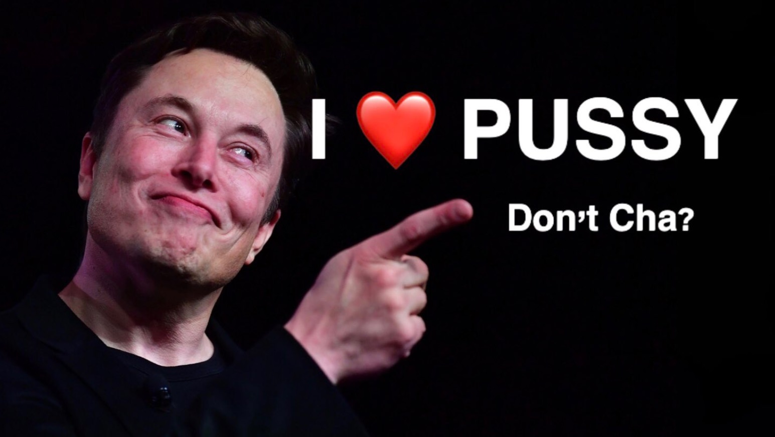 PHOTO I Heart Pssy Don't Cha Elon Musk Meme