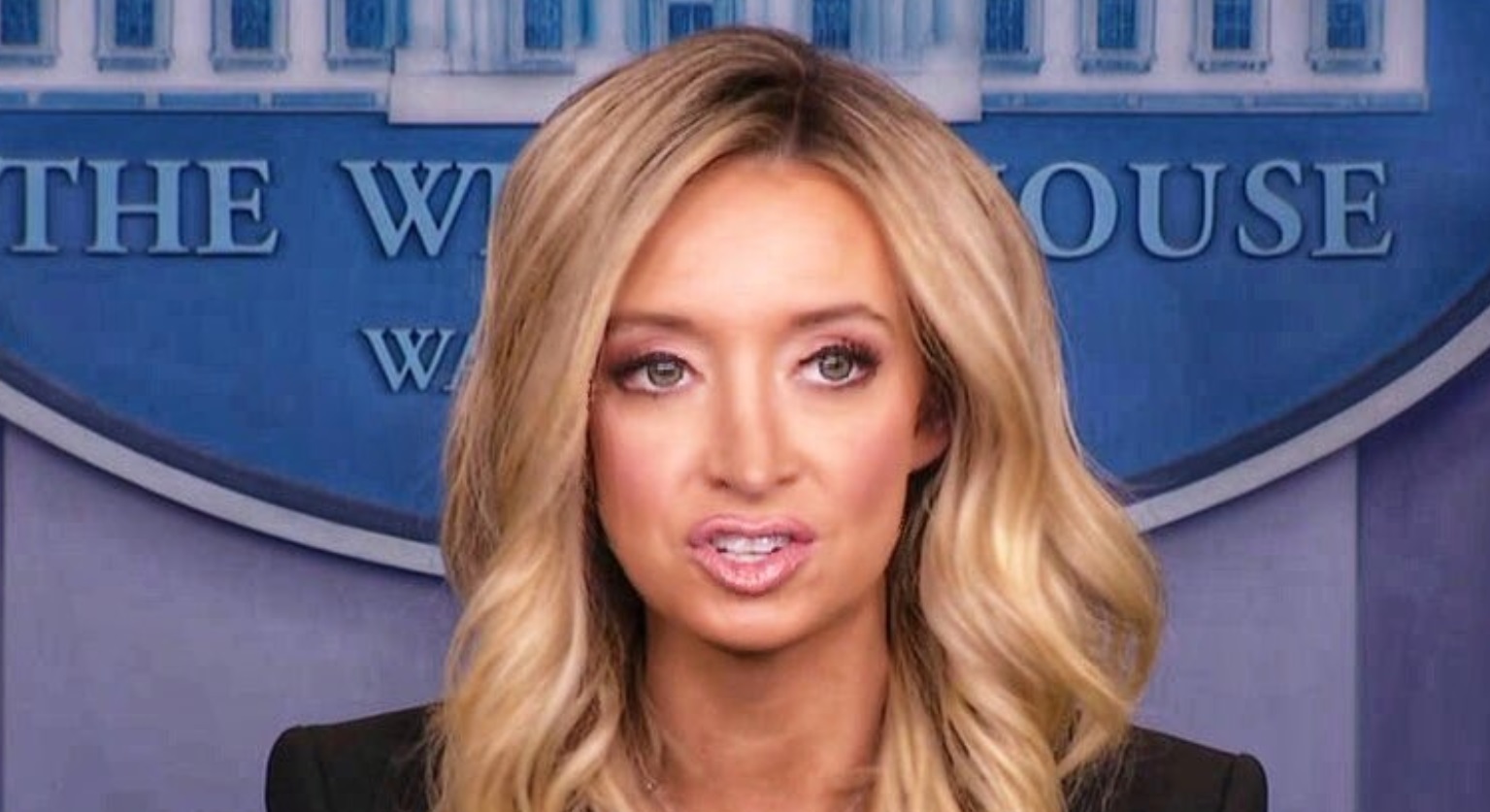 PHOTO Kayleigh McEnany Looking Retarded Drooling During Press Briefing