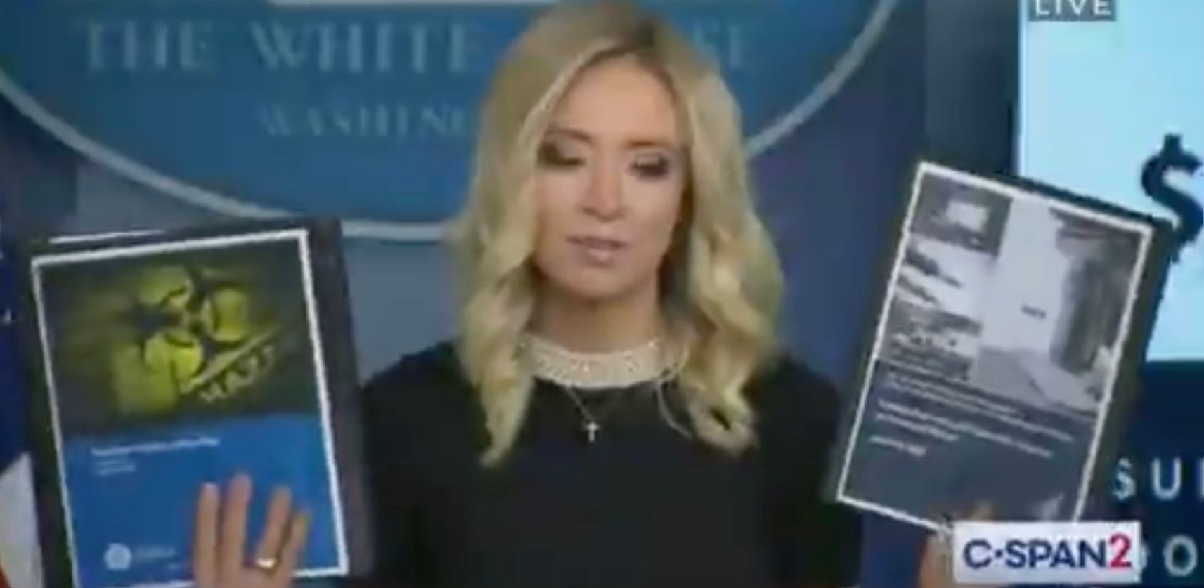 PHOTO Kayleigh McEnany Trying To Sell You Something On CSPAN