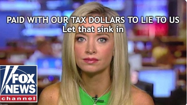 PHOTO Paid With Our Tax Dollars To Lie To Us Kayleigh McEnany Meme