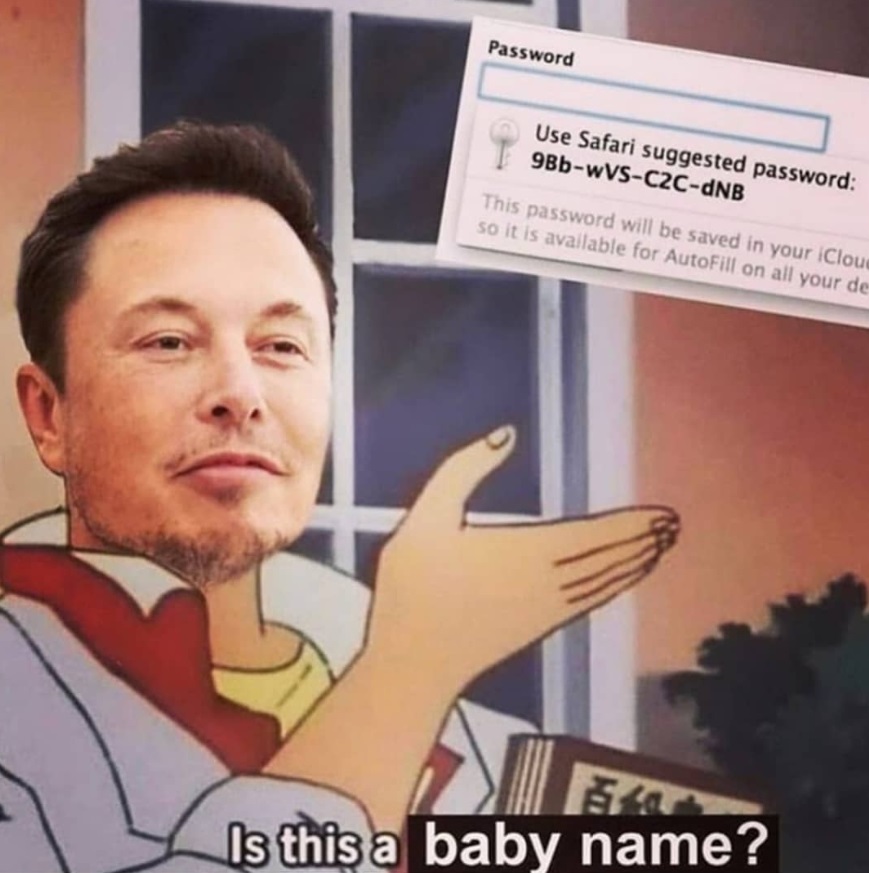 PHOTO Use Safari Suggested Password As Baby Name Elon Musk Meme