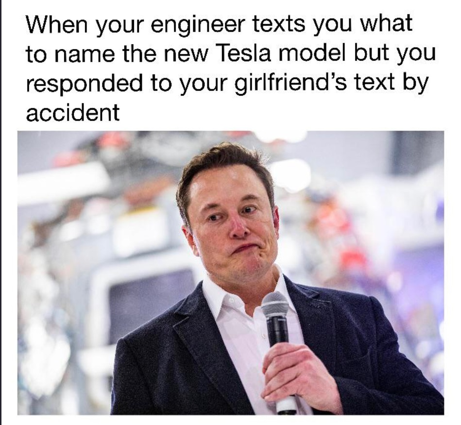 PHOTO When Your Engineer Texts You What To Name The New Tesla Model But You Responded To Your Girlfriend's Text By Accident Elon Musk Meme