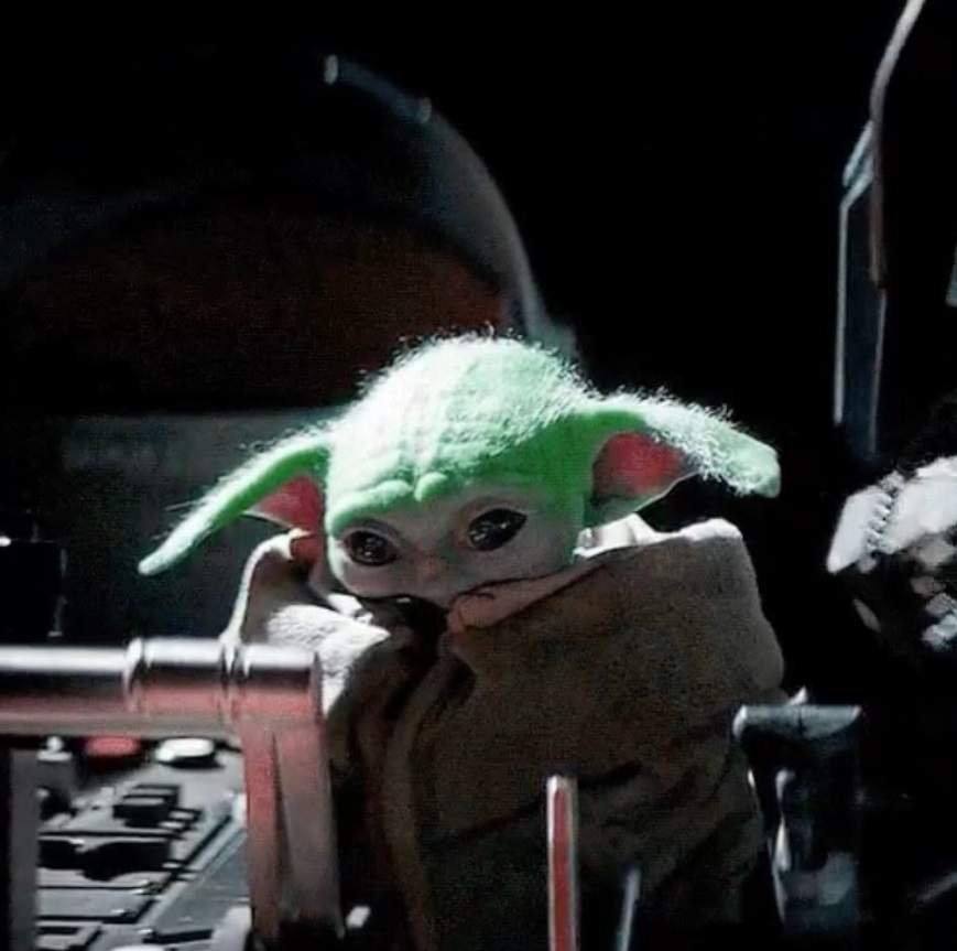 PHOTO Baby Yoda When He Finally Realizes What A Womprat Is