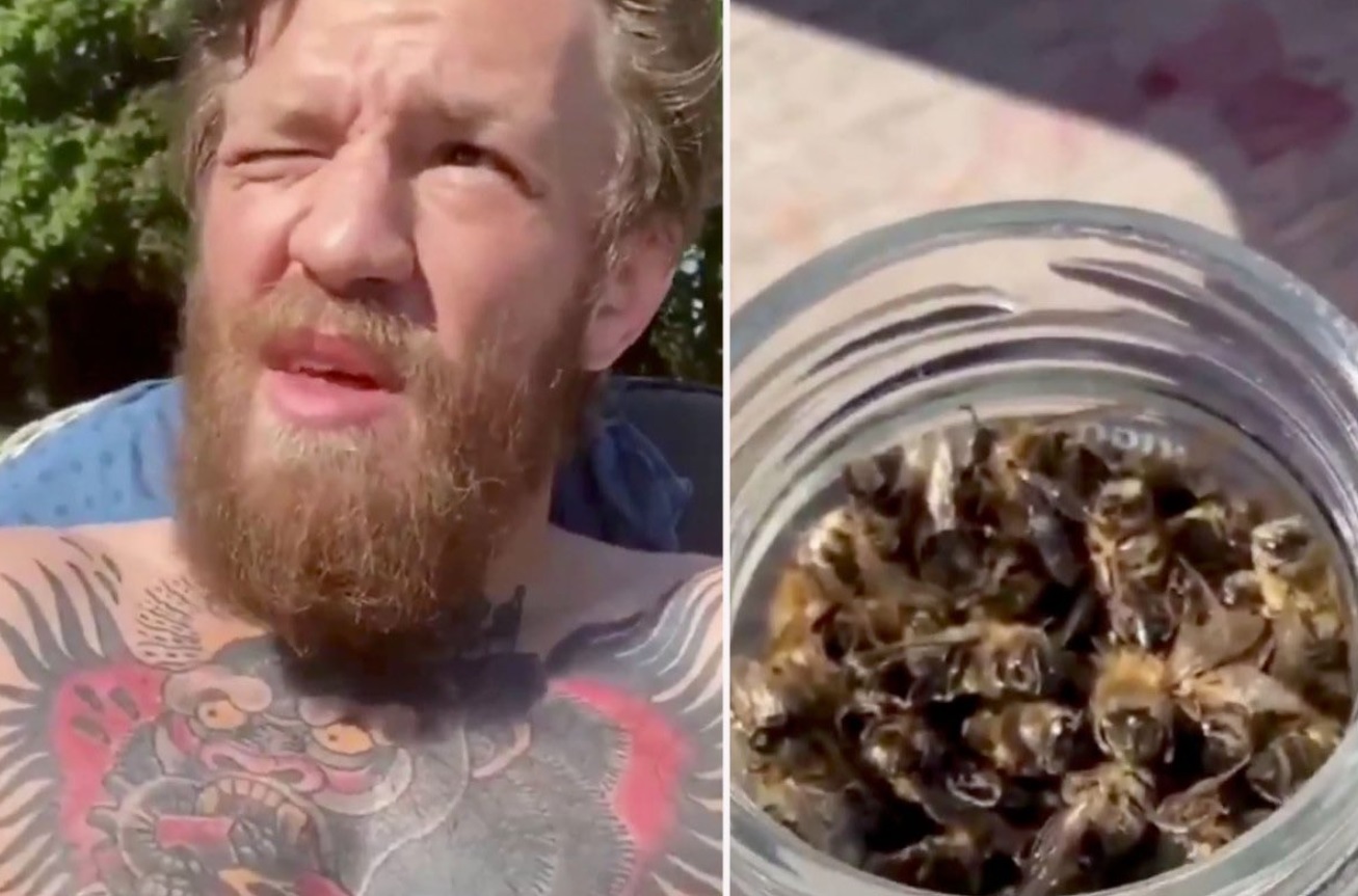 PHOTO Conor McGregor Eating Living Bumble Bees