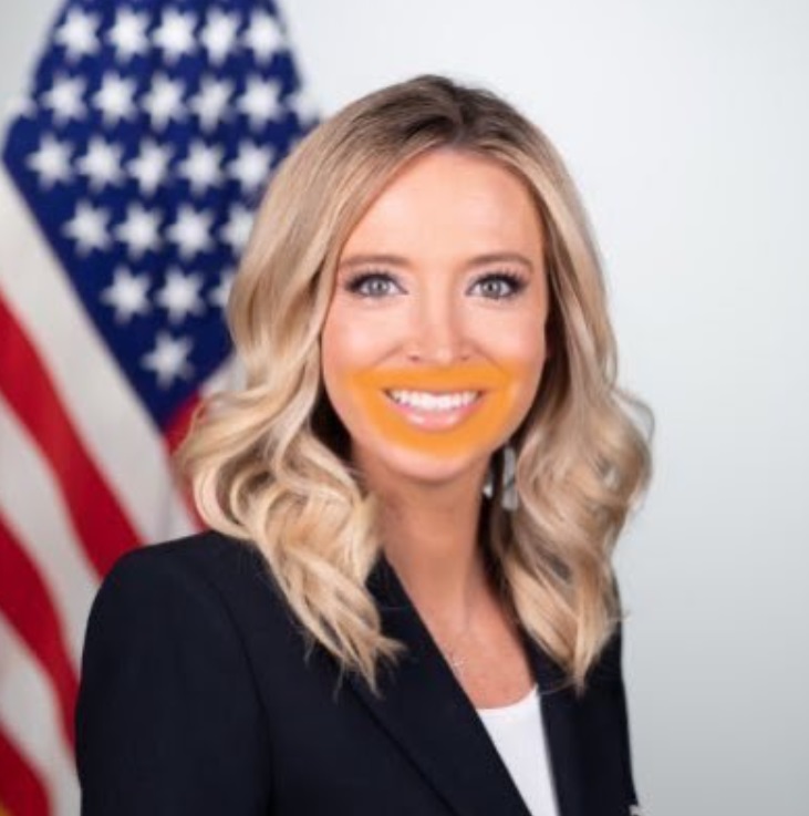 PHOTO Kayleigh McEnany Came To Work With Barbecue Sauce On Her Face After Lunch