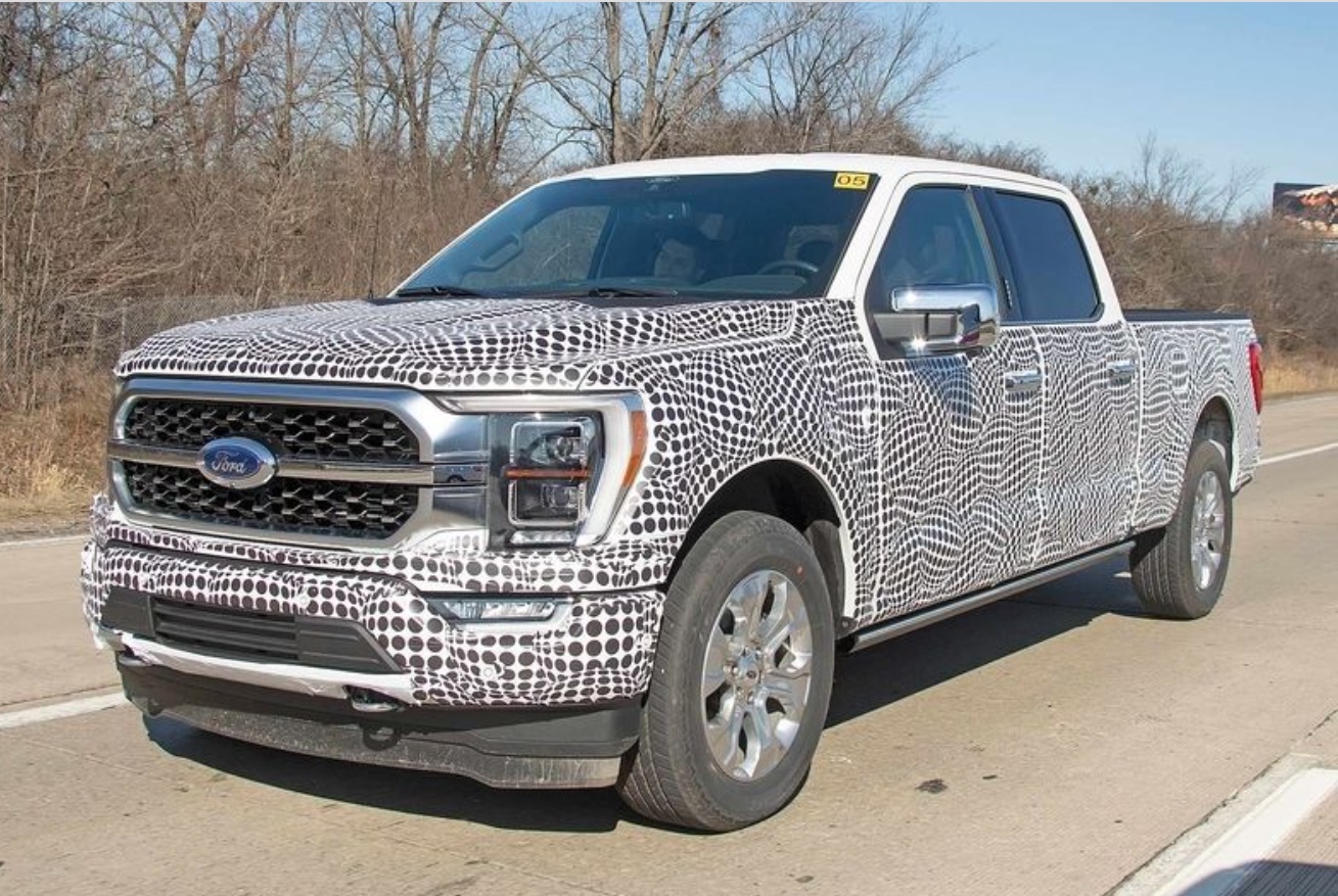 PHOTO New 2021 Ford F-150 In Zebra Print