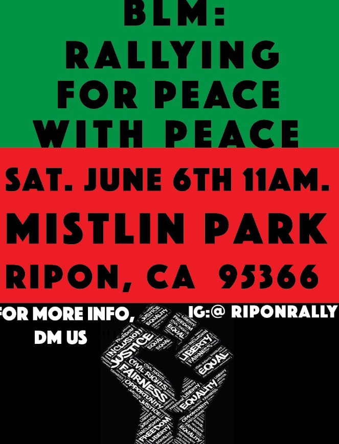 PHOTO Ripon Rally Peaceful Demonstration At Mistlin Sports Park Planned 