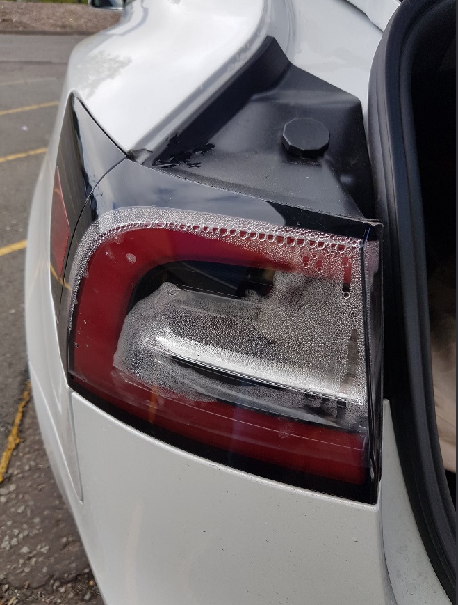 PHOTO Tesla Model 3 Owner Reporting Tail Light Filling With Water After Having Car For Only 3 Months