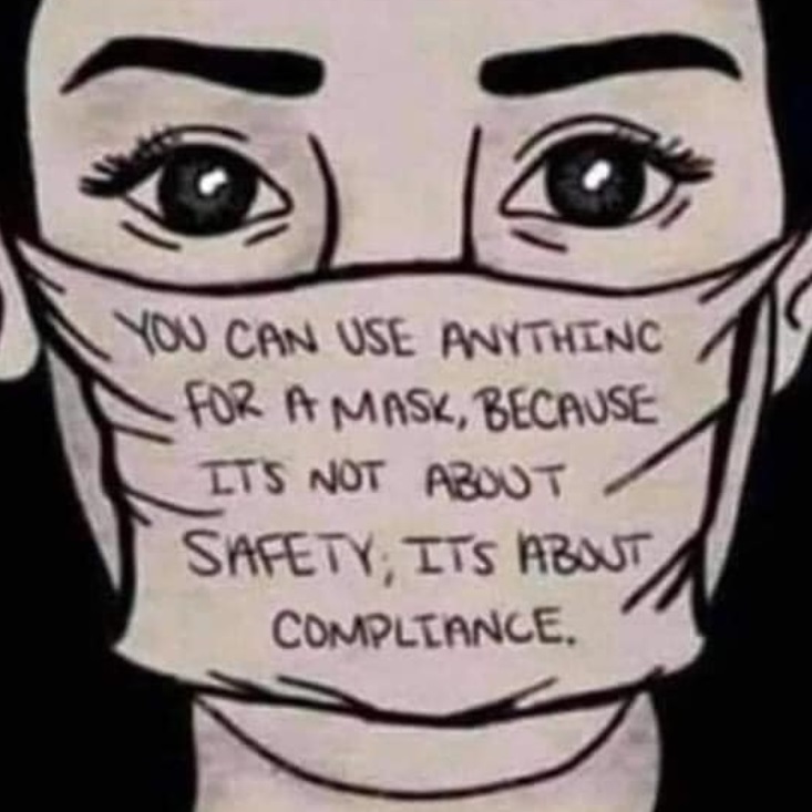 PHOTO You Can Use Anything For A Mask Because It's Not About Safety It's About Compliance Meme