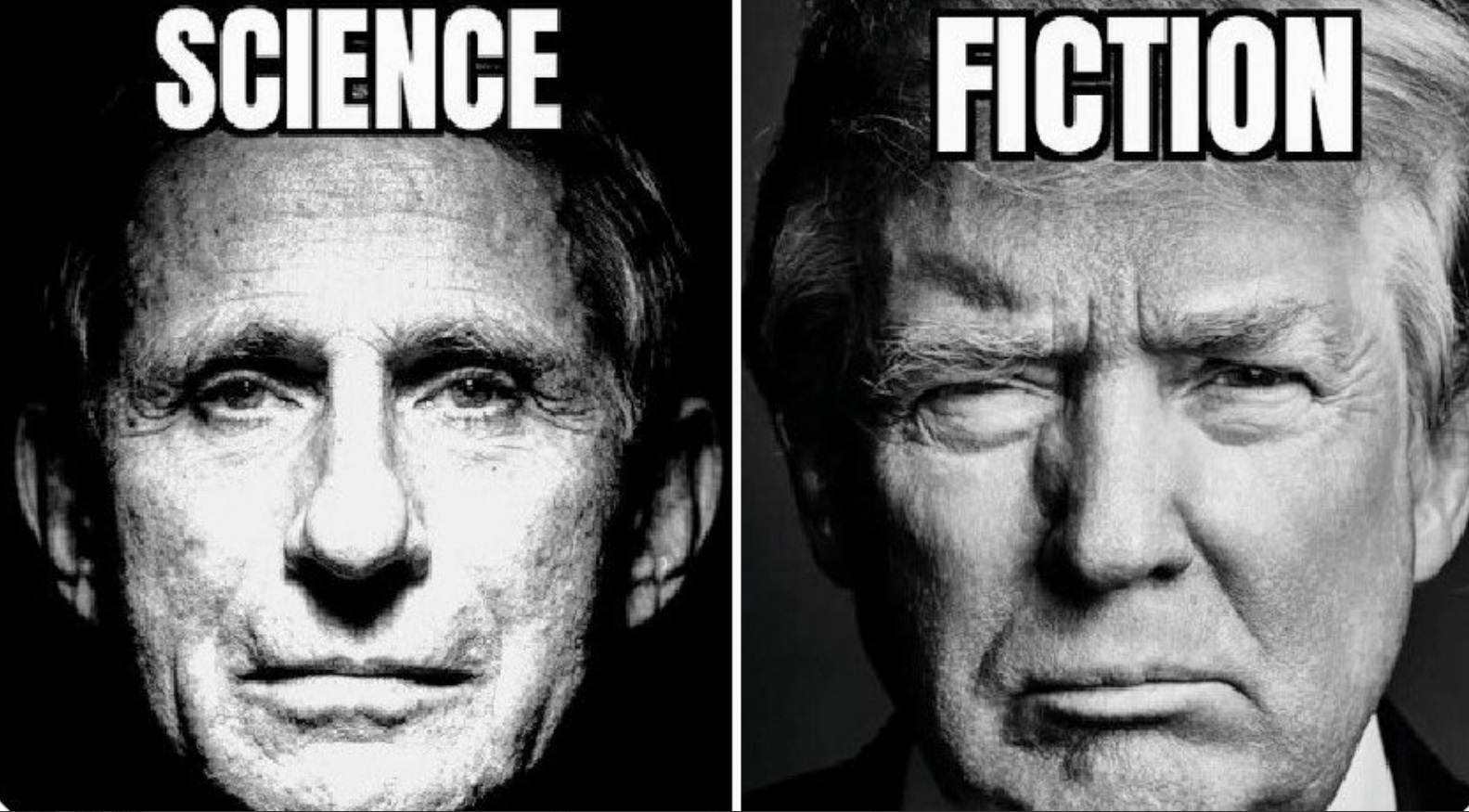 PHOTO Donald Trump Anthony Fauci Science Fiction Meme