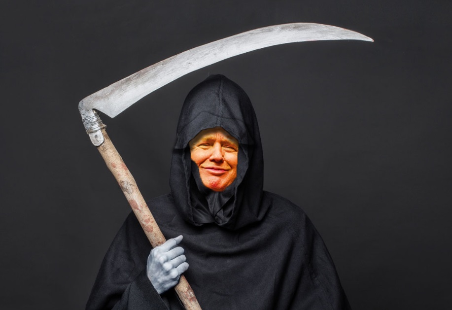 PHOTO Donald Trump With An Ax