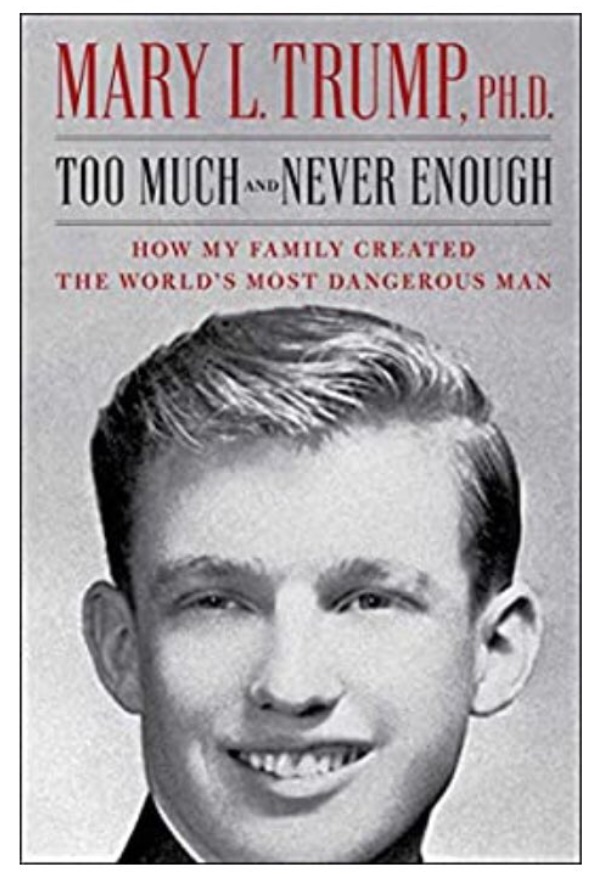 PHOTO Donald Trump's 13 Year Old Face Is On The Cover Of Mary Trump's Book