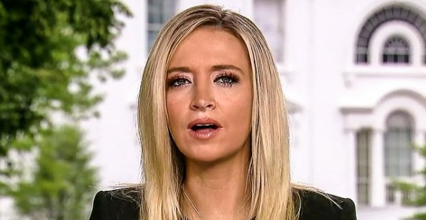 PHOTO Kayleigh McEnany Sweating On Live TV