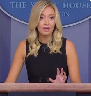 PHOTO The Kayleigh McEnany I've Had Enough Face