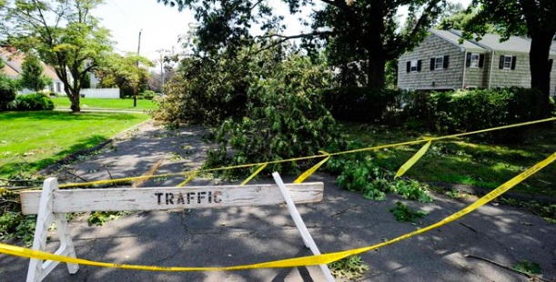 PHOTO Downed Trees Snapped Power Lines In Connecticut