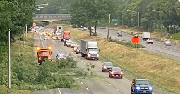 PHOTO Huge Tree In Middle Of Freeway In Connecticut From The Storm