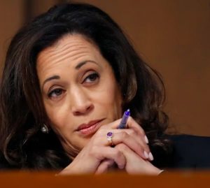 PHOTO Kamala Harris' Are You Serious Face