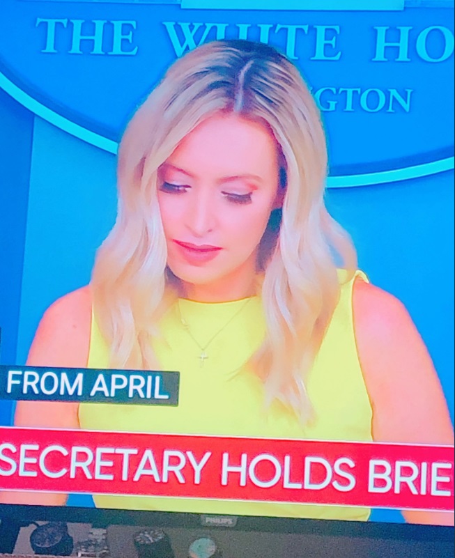 PHOTO Kayleigh McEnany's Fake Eyelashes Falling Off During Press Briefing