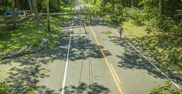 PHOTO Of Power Lines Laying In The Street In Connecticut