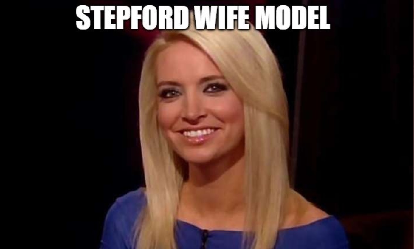 PHOTO Stepford Wife Model Kayleigh McEnany Meme