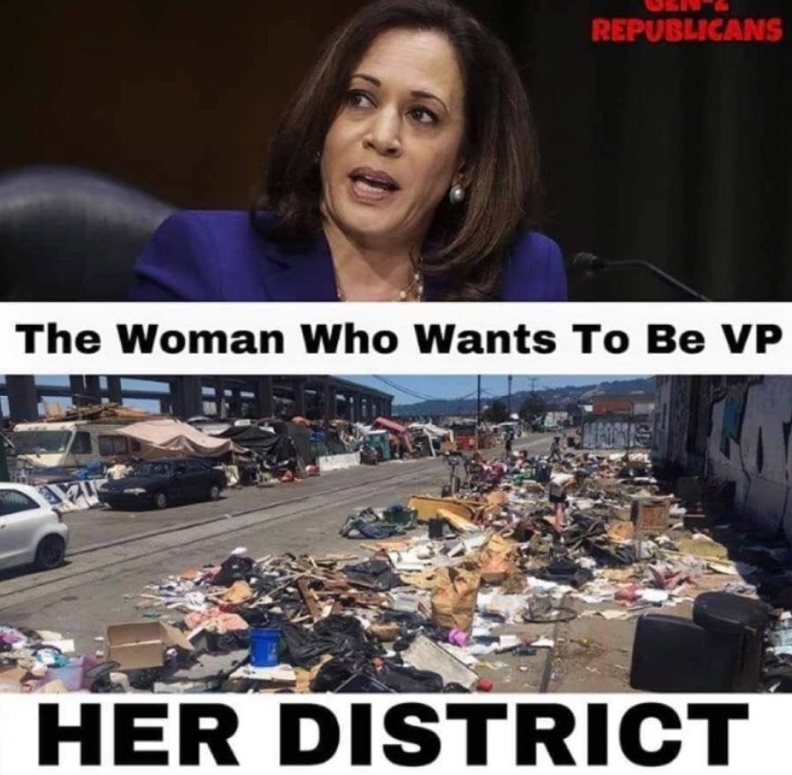 PHOTO The Woman Who Wants To Be VP Her District Meme