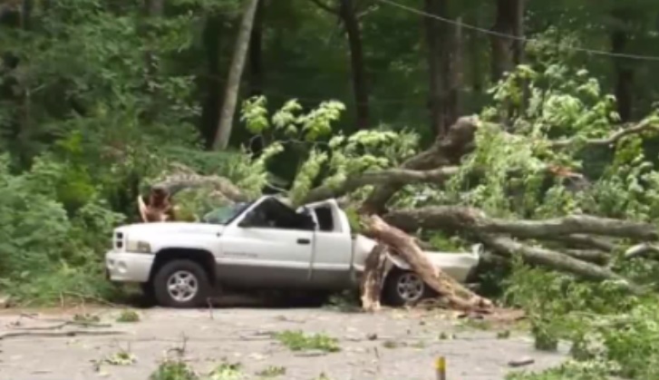 PHOTO Tree In Connecticut Smashes In Roof Of Pickup Truck