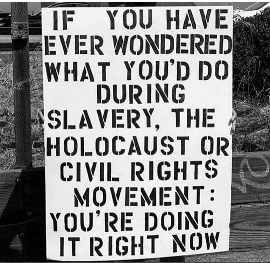 PHOTO What You'd Do During Slavery Holocaust Or Civil Rights Movement You're Doing It Right Now Meme