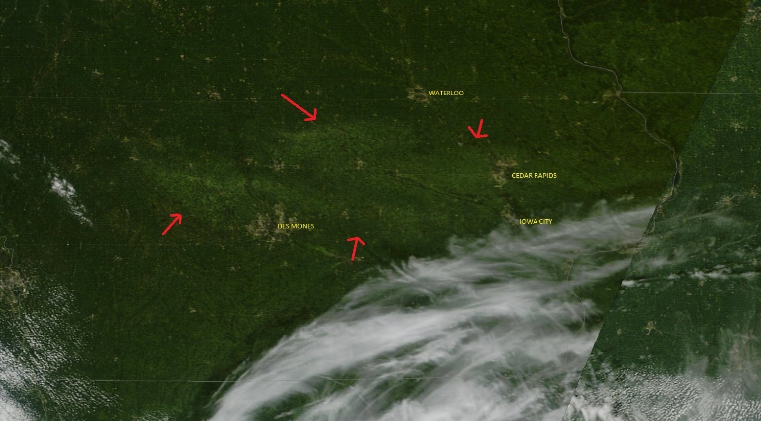 PHOTO You Can See The Land Area Of Crops Destroyed On Satellite