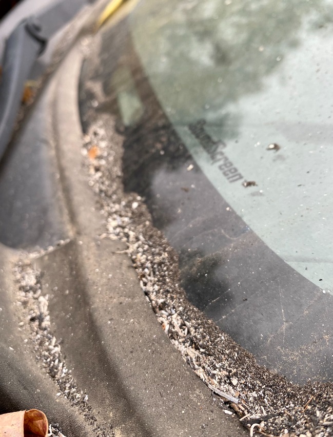 PHOTO Ash All Over Residents Cars From East Troublesome Fire