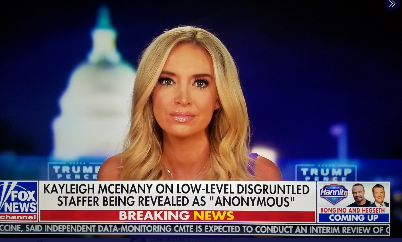 PHOTO Kayleigh McEnany's Face After Grilling Miles Taylor And Big Tech Protecting Joe Bien On Fox News