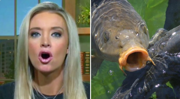 PHOTO Kayleigh McEnany's Face Looks Like A Fish