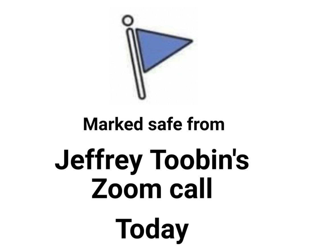 PHOTO Marked Safe From Jeffrey Toobin's Zoom Call Today Notification