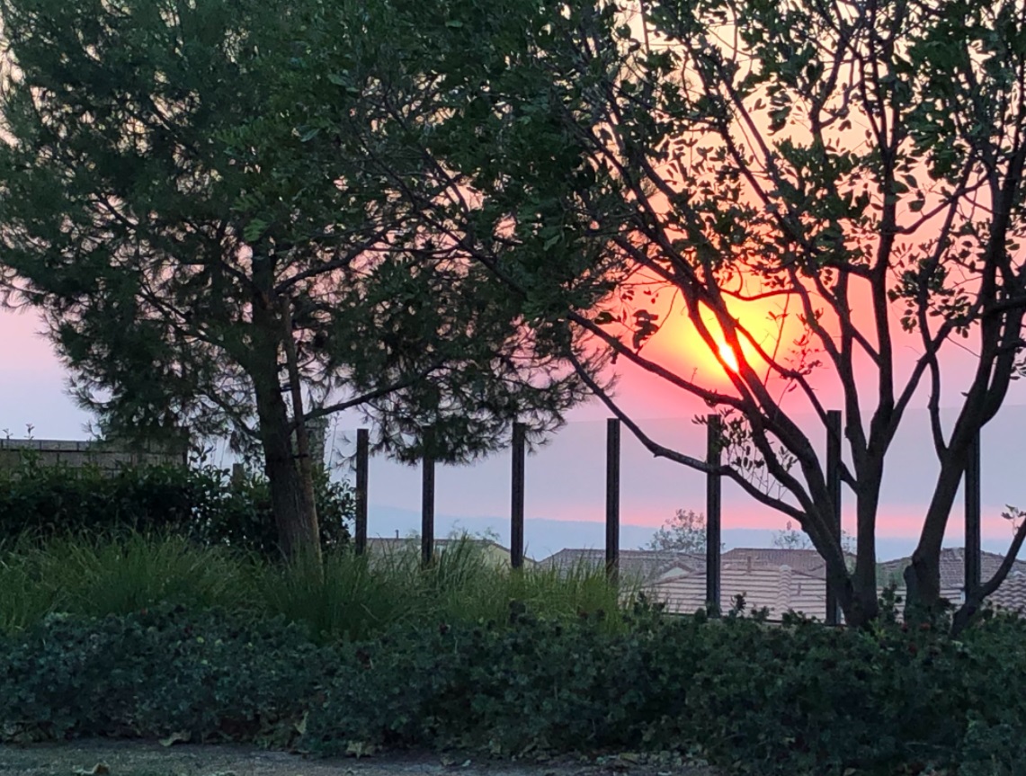 PHOTO Sun Turns Pink From Silverado Fire In Lake Forest Neighborhood