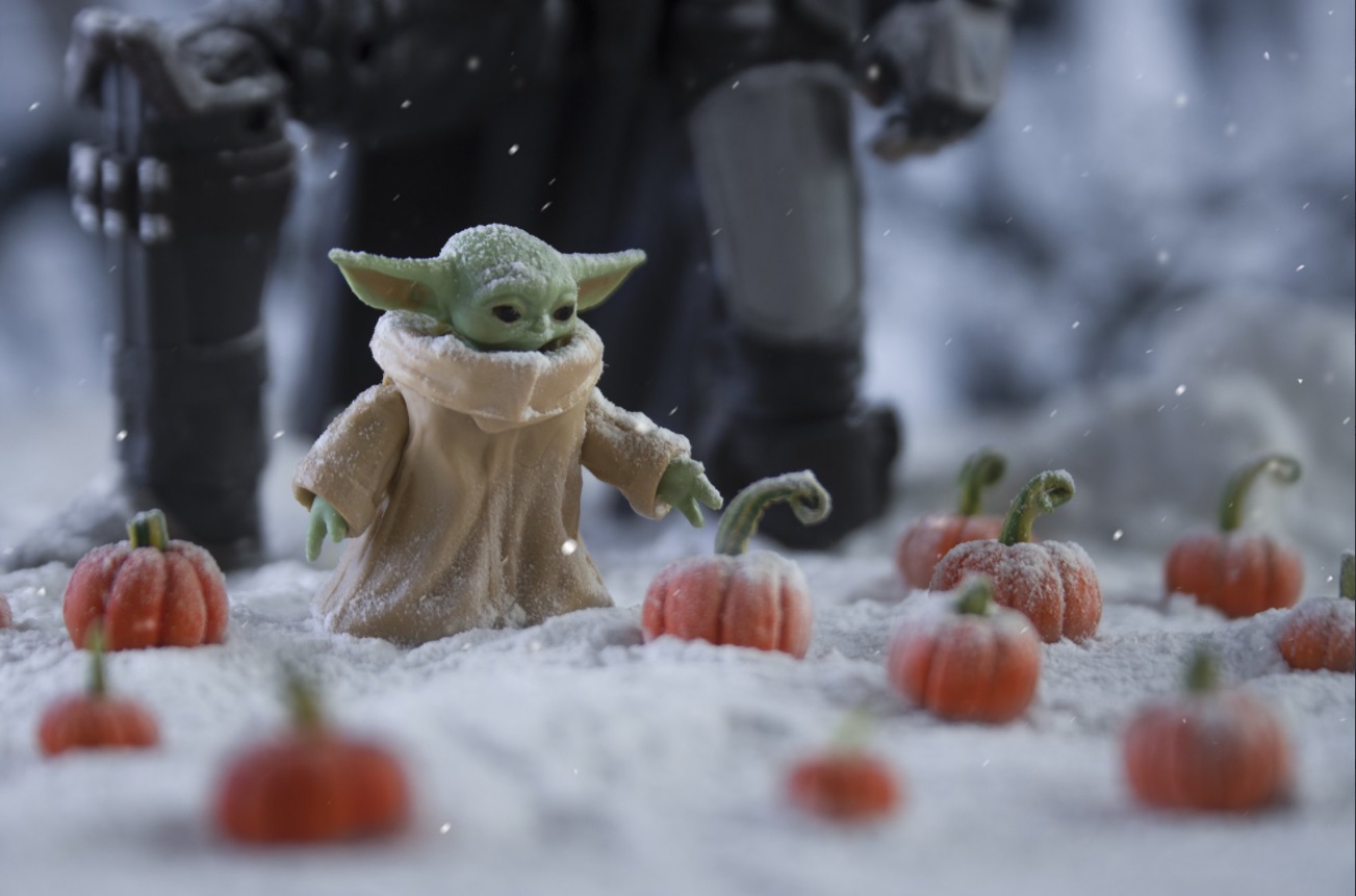 PHOTO Baby Yoda Looking At Picking A Pumpkin