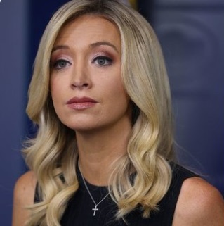PHOTO Kayleigh McEnany's Face Is Not Proportional