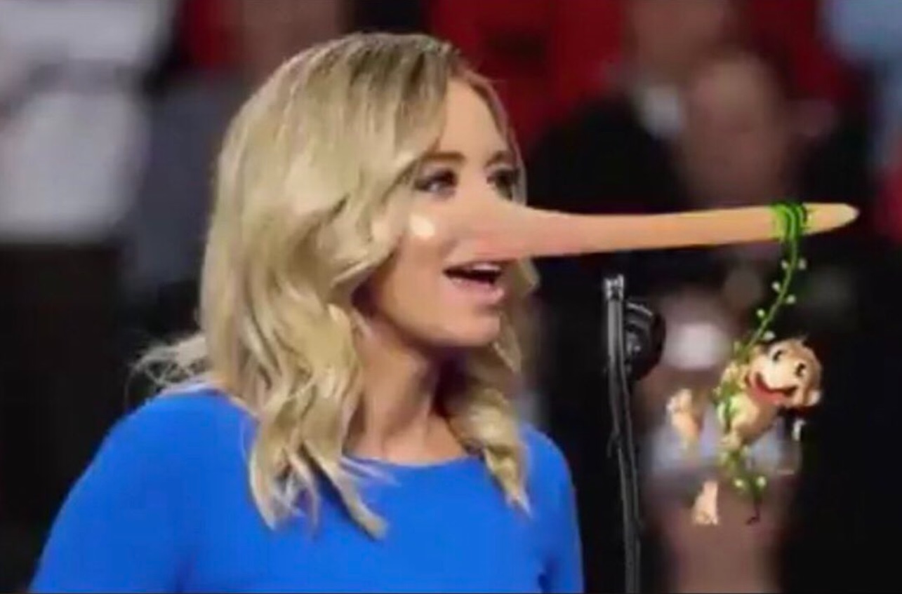 PHOTO Monkey Hanging From Kayleigh McEnany's Nose