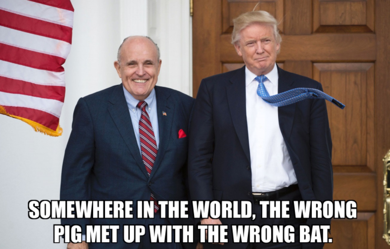 PHOTO Somewhere In The World The Wrong Pig Met Up With The Wrong Bat Donald Trump Meme