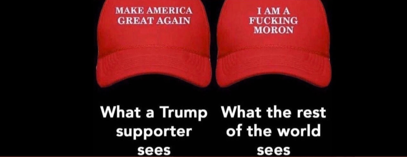 PHOTO What A Trump Supporter Sees What The Rest Of The World Sees Donald Trump Meme