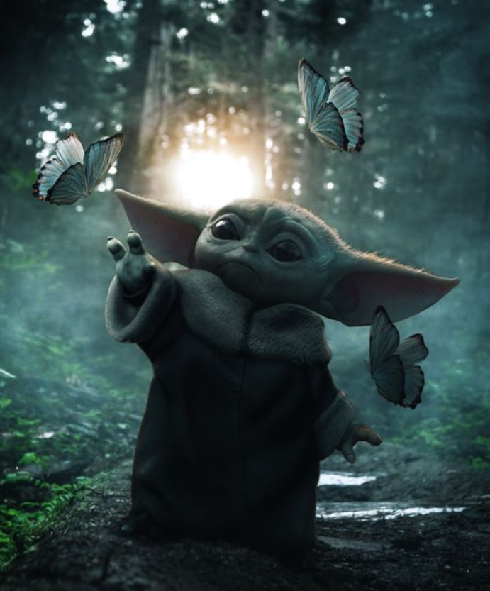 PHOTO Baby Yoda Trying To Catch Butterflies