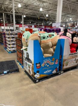 costco squish