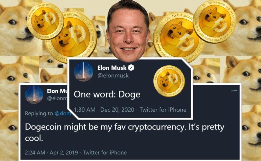 PHOTO Elon Musk Is A Huge Fan On Dogecoin Cryptocurrency