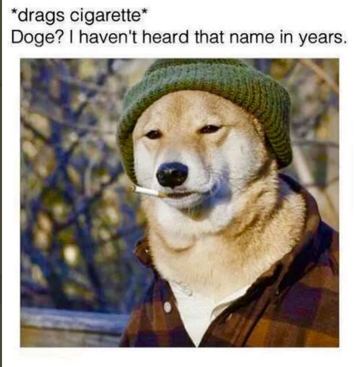 PHOTO Dogecoin Dog Smoking A Cigarette Meme