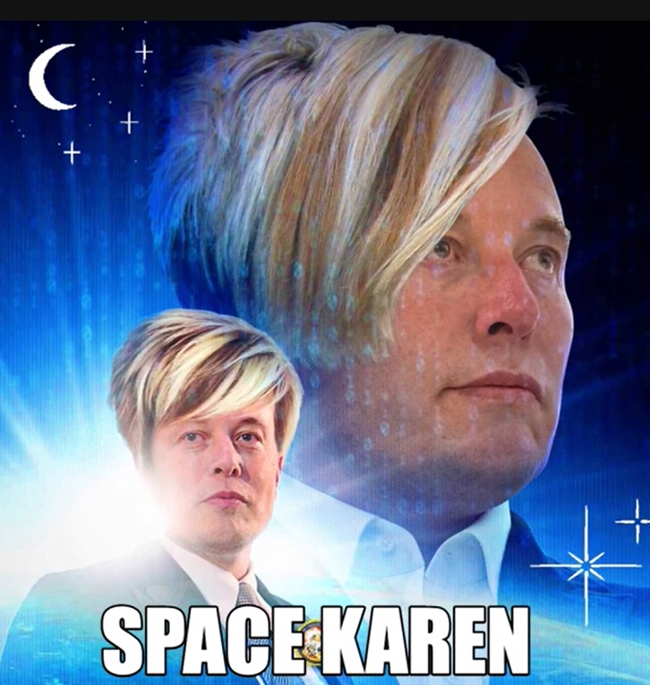 PHOTO Elon Musk Space Karen Meme